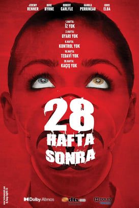 28 Hafta Sonra
