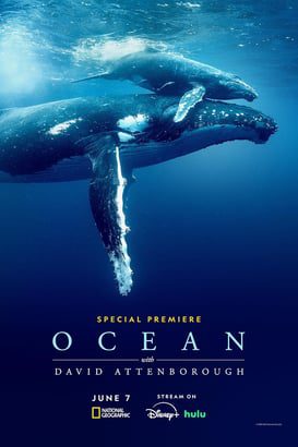 David Attenborough ile Okyanuslar