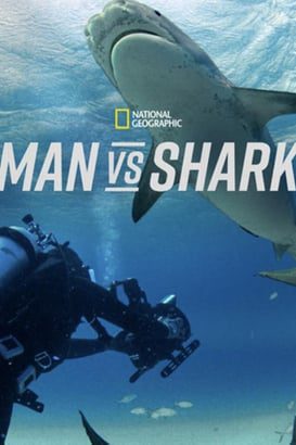 Köpekbalığı İnsana Karşı