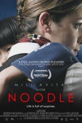 Noodle Ustası