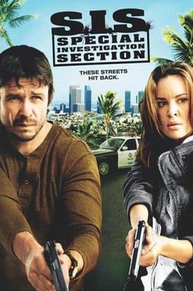 Özel Araştırma Birimi