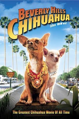 Beverly Hills Chihuahua