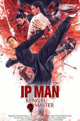 Ip Man: Kung Fu Ustası