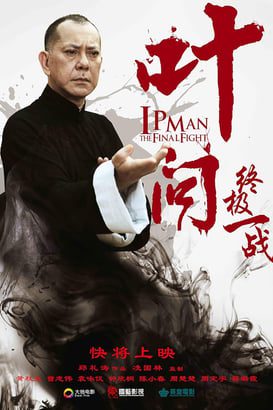 Ip Man: Son Dövüş