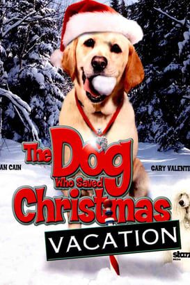 Noel Tatilini Kurtaran Köpek