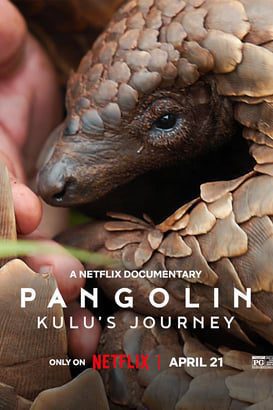 Pangolin: Kulu’nun Yolculuğu