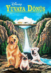 Yuvaya Dönüş