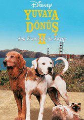 Yuvaya Dönüş 2: San Francisco’da Kayıp