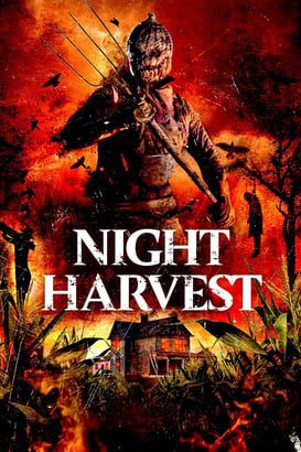 Night Harvest