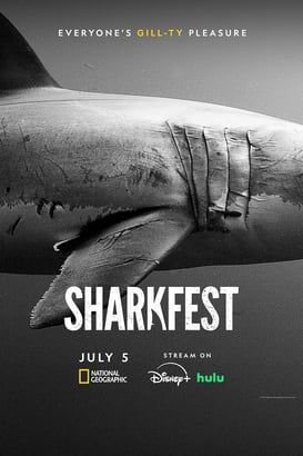 Bertie Gregory Köpekbalıkları İle Yüz Yüze